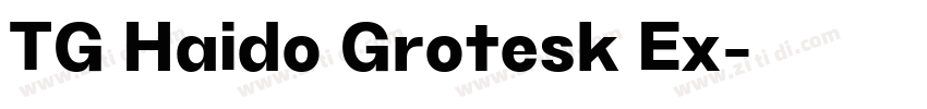 TG Haido Grotesk Ex字体转换